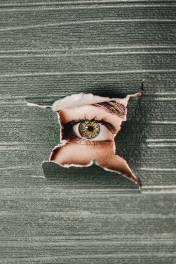 Brown Human Eye Brown Human Eye