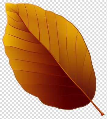 Brown leaf illustration], file formats Filename extension Computer file, Autumn Leaf transparent background PNG clipart