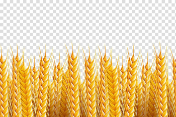 Brown leafed plant , Wheat Illustration, Wheat background transparent background PNG clipart