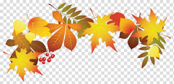 Brown leaves illustration, Autumn leaf color , Autumn Leaves Decoration transparent background PNG clipart