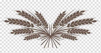 Brown leaves illustration, Wheat Drawing Cereal, wheat grains transparent background PNG clipart