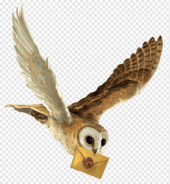 brown owl with brown envelope, Harry Potter and the Philosopher's Stone Owl Hedwig Hogwarts, Harry Potter, fauna, bird, feather png