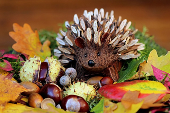 Brown Porcupine Artwork Brown Porcupine Artwork