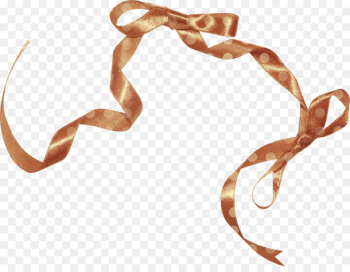 Brown ribbon Silk Shoelace knot - Brown silk ribbon Brown ribbon Silk Shoelace knot - Brown silk ribbon