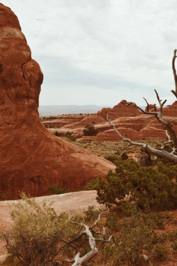 Brown Rock Formation Near Trees Brown Rock Formation Near Trees