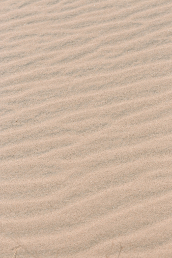 Brown Sand Brown Sand