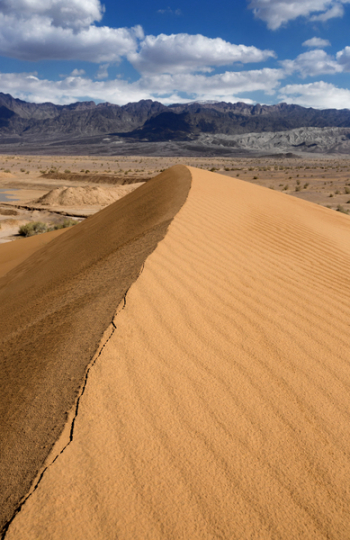 Brown Sand Brown Sand