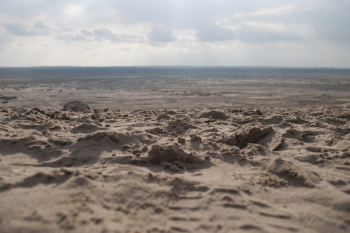Brown Sand Brown Sand