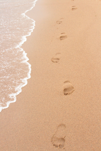 Brown Sand Brown Sand