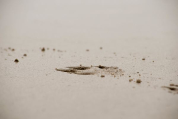brown sand brown sand