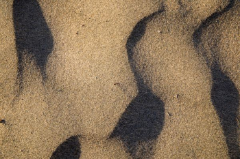 brown sand brown sand