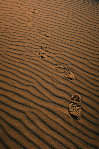 Brown Sand Brown Sand