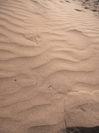 Brown Sand Brown Sand