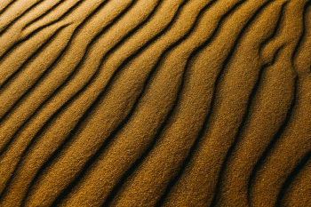 Brown Sand Dunes Brown Sand Dunes