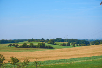 Brown Sand Dunes Surrounded by Green Grass Under the Blue Sky