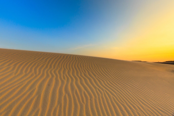 Brown Sand Field Brown Sand Field