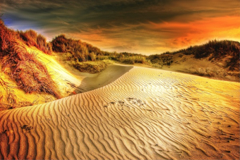 Brown Sand Under Gray Sky Brown Sand Under Gray Sky