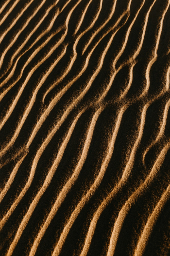 Brown Sands Brown Sands