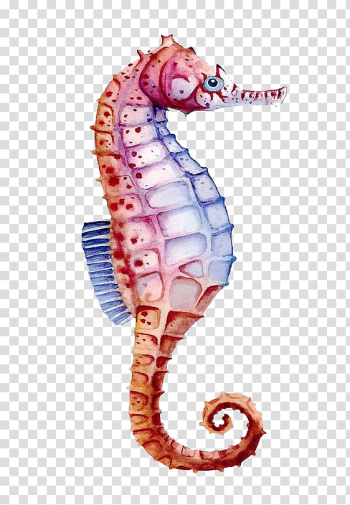 Brown seahorse, Seahorse Watercolor painting Drawing, Color hippo transparent background PNG clipart