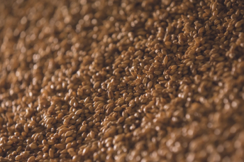 Brown Seeds Brown Seeds