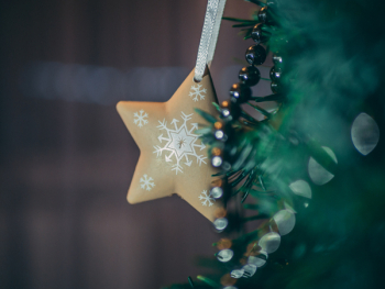 Brown Star Tree Decor Brown Star Tree Decor