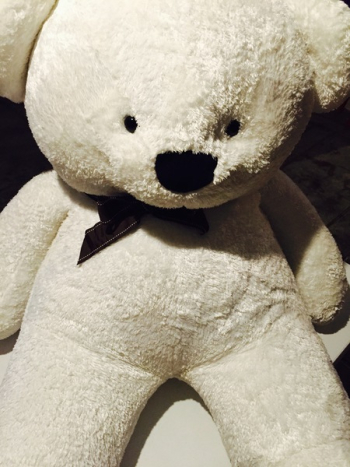 Brown Teddy Bear Brown Teddy Bear
