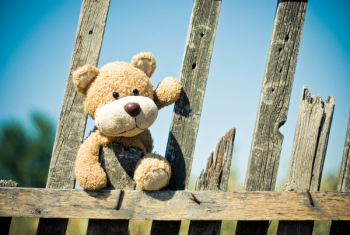 Brown Teddy Bear on Brown Wooden Fence Brown Teddy Bear on Brown Wooden Fence