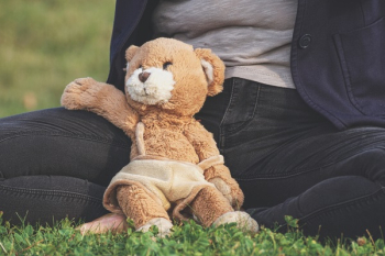 Brown Teddy Bear Toy Leaning on Person Brown Teddy Bear Toy Leaning on Person