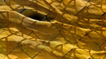 brown textile brown textile