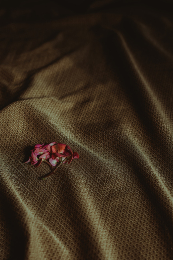 Brown Textile Brown Textile