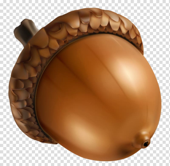 Brown walnut illustration, Acorn , Acorn transparent background PNG clipart Brown walnut illustration, Acorn , Acorn transparent background PNG clipart