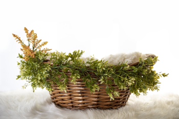 Brown Wicker Basket Brown Wicker Basket