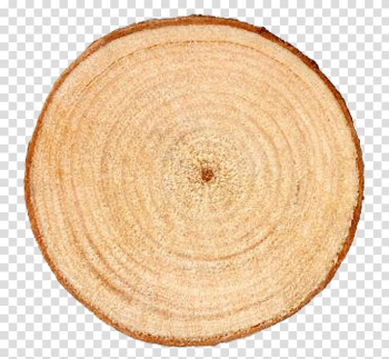 Brown wood end, Aastarxf5ngad Tree Trunk Ring, Tree Rings transparent background PNG clipart