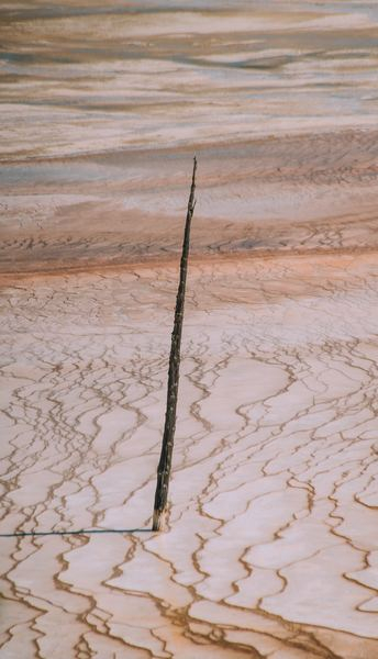 brown wood stick brown wood stick