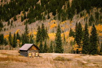 brown wooden cabin brown wooden cabin