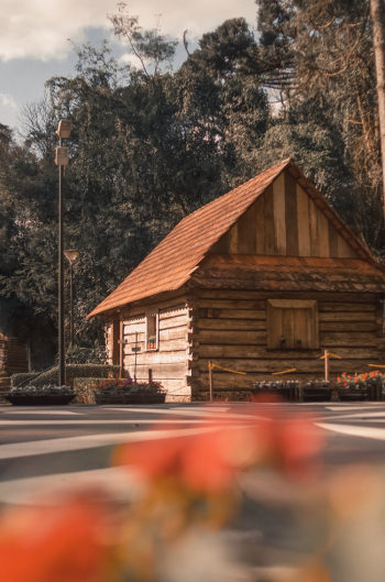 Brown Wooden Cabin Brown Wooden Cabin
