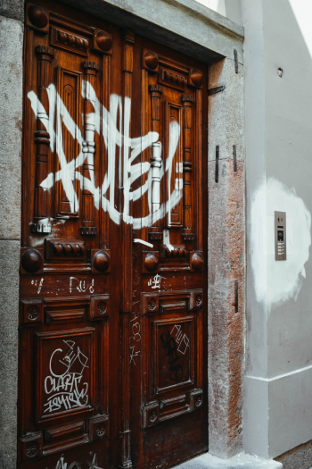 Brown Wooden Door 