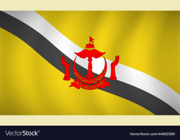 brunei flag background