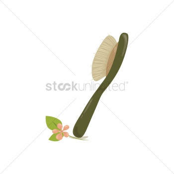 Brush Brush
