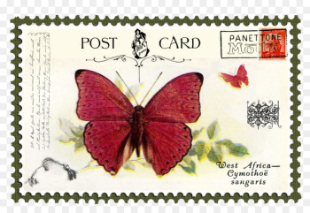 Brush-footed butterflies Butterfly Postage Stamps Mail - butterfly 