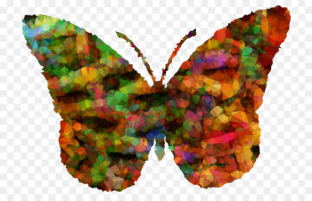 Brush-footed butterflies Moth Symmetry M. Butterfly Leaf - Brush-footed butterflies Moth Symmetry M. Butterfly Leaf -