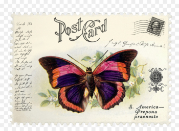 Brush-footed butterflies Postage Stamps Mail Butterfly Prepona praeneste - butterfly 