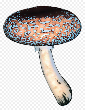 Brush, Mushroom, Fungus PNG Brush, Mushroom, Fungus PNG