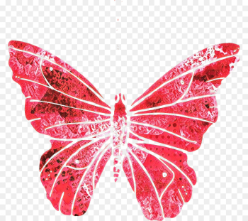 Brushfooted Butterflies, Moth, M Butterfly, Butterfly, Insect PNG