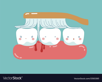 Brushing make hurt gum and teeth teeth and tooth vector image