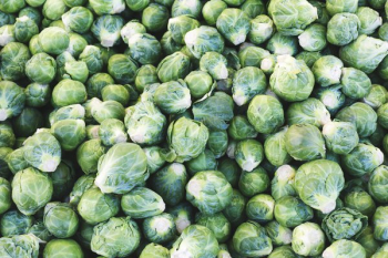Brussel Sprouts Pile Brussel Sprouts Pile