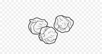 Brussels Sprouts Sprouting Vector graphics Vegetable Illustration - chou de bruxelles 