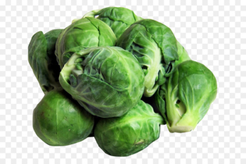 Brussels Sprouts Vegetarian cuisine Cabbage Vegetable Sprouting - cabbage 