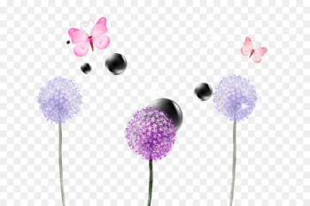 Bubble butterfly Dandelion Bubble butterfly Dandelion