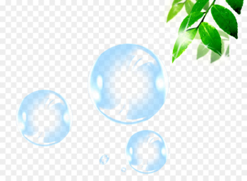 Bubble Sphere Blister - Blister bubble bamboo 